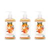 South Of France Orange Blossom & Honey Liquid Hand Wash by SoF Body Care (Formerly Body Care) | Moisturizing Liquid Hand Soap with Sea Algae | 8 oz Pump Bottle Each | 3 Bottles