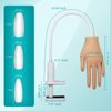 Practice Hand for Acrylic Nails, Nail Tips Never Fall Off Nail Practice Hands, Fingers Never Break Fake Hand for Nail Practice, Fexible Nail Hand Practice Mannequin Hand with 200 Pcs Nail Tips
