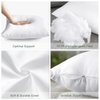 OTOSTAR Pack of 2 Throw Pillow Inserts, 12 x 20 Cushion Inner Soft Fluffy Plump Stuffer Cushion Pads White Decorative Pillow Inserts
