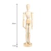 8 Inch Artists Wooden Manikin Flexible Body Joints Human Figure Puppet Model Wood Male Mannequin Doll Ornament Stand for Home Office Desk Decoration Sketching Drawing Painting Supplies Gift