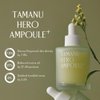 PINKWONDER Tamanu Hero Ampoule⁺ 1.69oz (50ml), Tamanu Oil and Green Tea Wate for Acne Treatment, Daily Face Serum with Soothing and Refreshing, Vitamin, Korean Skincare