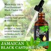Castor Oil in Glass Bottle with Glass Bottle,Organic Castor Oil for Eyelashes, Eyebrows, Hair. Skin Moisturizer