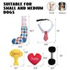 Nocciola 5 PCS Dog Toys Birthday Present for Dad, Fun Squeaky Dog Toy for Small Medium Breed, Puppy Puzzle Dog Toy to Keep Them Busy