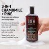 American Crew 3-IN-1 CHAMOMILE + PINE Shampoo, Conditioner and Body Wash, 15.2 Fl Oz (Pack of 1)