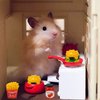 30 Pcs Miniature Food Drinks Laptop Computer Books Toys Dollhouse Miniature Furniture Plastic Table Fits Accessories Scale Dollhouse Playsets Girl Mini Drink Food Party