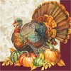 Creative Converting Traditional Turkey Dinner Napkins, 8" x 4", Multi-color