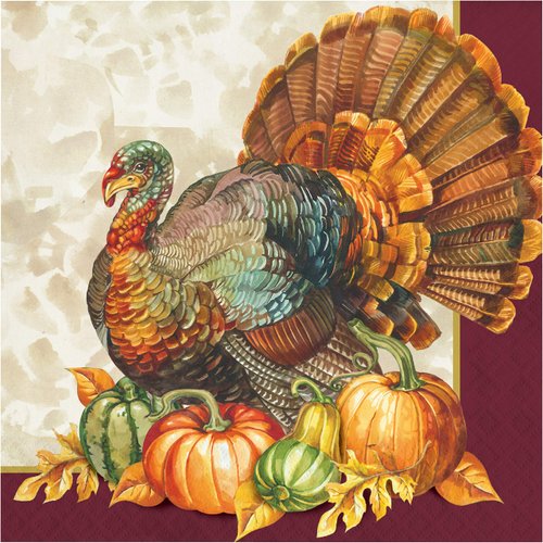 Creative Converting Traditional Turkey Dinner Napkins, 8&quot; x 4&quot;, Multi-color