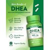 Nature's Truth DHEA | 100mg | 60 Capsules | Non-GMO & Gluten Free Supplement