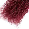 Ombre Human Hair Bundles Burgundy Kinky Curly Bundles Human Hair 18 20 22 Inch Unprocessed Brazilian Human Hair Bundles Red Wine Curly Wave Human Hair Extensions 3 Bundles
