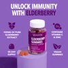 Sambucus Elderberry Gummies for Adults | Immune Support Gummies with Elderberry, Vitamin C and Zinc | Sambucus Elderberry Immune Support with Elderberry Extract | 2 Month Supply Berry-Flavored Gummies
