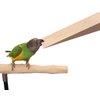 Parrot Chew Stix (Parrot Chew Stix - Set of 6 Parrot Toys)