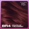 Clairol Bold & Bright Permanent Hair Dye, BR4 Fruits of the Forest Hair Color, Pack of 1