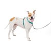 PetSafe 3 in 1 Dog Harness - No Pull Solution for Dogs - Reflective Dog Harness - Front D-Ring Clip Helps Stop Pulling - Comfortable Padded Straps - Top Handle Enhances Control - Teal - Medium