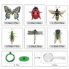 JOLLY SWEETS Pretend Insect Bug Figures Toys Set, Finger Ring Bug, Magnifying Glass, Dragonfly, Butterfly, Grasshopper, Bee, Ladybird, Cicada, Realistic Pretend Play Toys 6 Pcs..