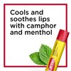 Carmex Classic Medicated Lip Balm Sticks, Lip Moisturizer for Chapped Lips, 12 Count (4 Packs of 3)