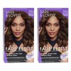 Dark & Lovely Color #386 Brown Sugar (2 Pack)