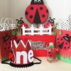 Cheerupp 1st Ladybug Birthday Hat for Girls, 1st Birthday Hat Crown for Sweet Little Lady beetle Spring Themed First Birthday Party Decorations Supplies