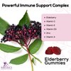 Sambucus Elderberry Immune Gummies, Daily Immune Support with Vitamin C, Vitamin D3, Zinc, Immune Support Gummy Vitamin Supplement, Black Elderberry for Adults, Kid, Gluten Free Non-GMO - 60 Gummies