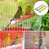 kathson Bird Perch Parrot Stand Cage Accessories Natural Wooden Stick Paw Grinding Rough-surfaced Chew Toy for Cockatiels,Cockatoo,Lorikeet,Conure,Parakeet 3 Pack (Random Color)