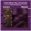 Garnier Nourishing Hair Color Creme, P1 Deepest Intense Purple, 2 Pack