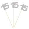 15th Birthday Centerpiece Sticks Silver Glitter Number 15 Party Table Toppers Flower Picks Anniversary Party Supplies - Pack of 10