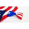 Puerto Rico Hair Accessories for Girls 3.5 Inch Flag Hair Bow For Toddlers Bows For Little Girls With Clips 2 Pack For School Dance Event