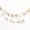 CIEQR A Little Dumpling is On The Way Baby Shower Banner - Baby Shower Decorations, Gender Reveal Hanging Banner Sign Decor, Gender Reveal Decorations for Party Indoor Outdoor...