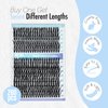 IECILI Lash Clusters Individual Lashes - 280pcs 40D Cluster lashes for DIY Lash Extensions -Super Thin & Soft Eyelashes 10-16mm D Curl Cluster Eyelash Extensions for Natural Wispy Look