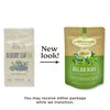 Bilberry Leaf Tea - Pure Herbal Tea Series by Palm Beach Herbals (30ct) [Packaging May Vary]