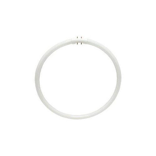 Sylvania 20732 - FPC40/835 Circular T5 Fluorescent Tube Light Bulb