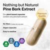 MAUWE HERBS Pine Bark Extract Capsules - Potent Antioxidant Supplement - 95% Proanthocyanidins - 400 mg Organic Pine Bark Extract Pills - 100 Vegan Caps