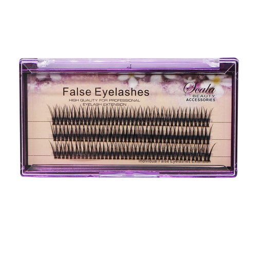 Bodermincer 120pcs D Curl 12D Fish Tail Lash Clusters Natural Soft Long PBT Mink False Eyelashes Individual Lashes Handmade Fake Eyelashes Extension (10mm)
