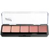 Graftobian HD Glamour Crème Foundation Palette (Blush) - High Definition 5 Color Makeup Palette, Cream Based Foundation Pink and Red Blush Palette for Cheeks, Full Coverage - For All Skin Shades
