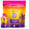 purple tree Organic Energy Stick Packets, Zero Sugar, B12 Vitamins, Lemon Ice Tea Flavor | 80mg Caffeine from Yerba Mate & Guarana to Prevent Crashing, 12 to-Go Packs