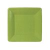 Caspari Grosgrain Square Paper Salad & Dessert Plates in Moss Green - 16 Count