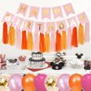 Pink and Orange Happy Birthday Party Decorations, Pink-Orange Groovy Décor Supplies with Banner Balloons Paper Pom Poms Tassels Garland Fringe Curtain for Women Girls Teens Her Birthday
