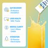 Bye-Bye Weekend Recovery & Hydration Drink Mix - Electrolytes, Probiotics, Vitamins for Liver & Gut - Goodbye Fatigue, Brain Fog - Zero Sugar Lemonade Powder - 10 Pack