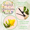 Sprout Clips Mixed Style Plant Hairpins Little Grass Sprout Hair Clips 50 Pcs Mushroom Clip on Sprout Gift for Women Girls Kids School