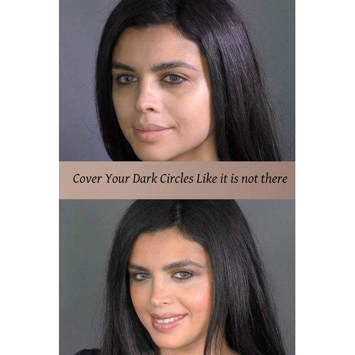 Ageless Derma Camoufleur Mineral Makeup Cream Concealer Fair. A Mineral Concealer Light Made in USA with No Paraben