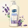 Suave Skin Solutions Body Lotion Lavender Calming Lotion 18 oz