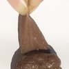 Brown Soft Poop Poop Model Realistic Vivid Appearance Party Supplies Simulation Tricky Poop Model for Halloween Fake Product Gags and Practical Joke Product
