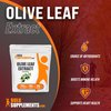 BULKSUPPLEMENTS.COM Olive Leaf Extract Powder - Herbal Supplement Powder, Antioxidants Source - Gluten Free - 750mg per Serving, 133 Servings (100 Grams - 3.5 oz)