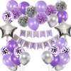 Rabbmall Birthday Decorations for Girls Purple and Silver Lavender Party Decor Kit for Her Women Including Happy Birthday Banner Pompom Flower Foil Balloons Confetti Latex Balloon Ribbons