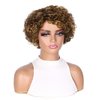 Hanne Fashion Short Curly Human Hair Wig for Black Women Mixed Brown Curly Bob Wigs Side Part Pixie Cut Wig Brazilian Remy Human Hair Non Lace Glueless Wigs (P4/27/30)