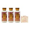 Bath & Body Works Together Weather 3 Piece Daily Nourishing Body Lotion Gift Set with a Himalayan Salts Springs Bar Soap - Full Size