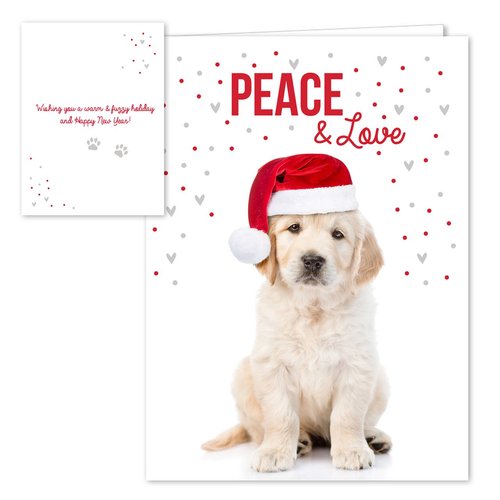 Canopy Street Labrador Love Holiday Card Pack / 25 Cards And Envelopes Pack/Festive Santa Hat Puppy Design With Greeting Inside/Dog Christmas And New Year Cards