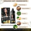 Solutrel Black Hair Dye Shampoo, Complete Gray Coverage, 10-in-1 Unisex Hair Color Shampoo With Natural Ingredients, No Skin Stain - Ammonia Free.