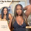 Hanne Fashion Kinky Straight Clip in Hair Extensions for Black Women Yaki Straight Clip Ins Full Head Highlights Synthetic Hair (22 Inch, Highlights 1B/27)