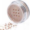 Pure Ziva Champagne Light Gold Metallic Bronze Nude Beige Single Loose Powder Eyeshadow; Vegan, Talc & Paraben Free, No Animal Testing & Cruelty Free
