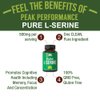 Peak Performance L-Serine Capsules 500mg Best Brain and Nootropic Amino Acids for Production of L-Cystine, L-Tryptophan and Serotonin. USA Grade L Serine Pills. Non-GMO Supplement (60 Servings)